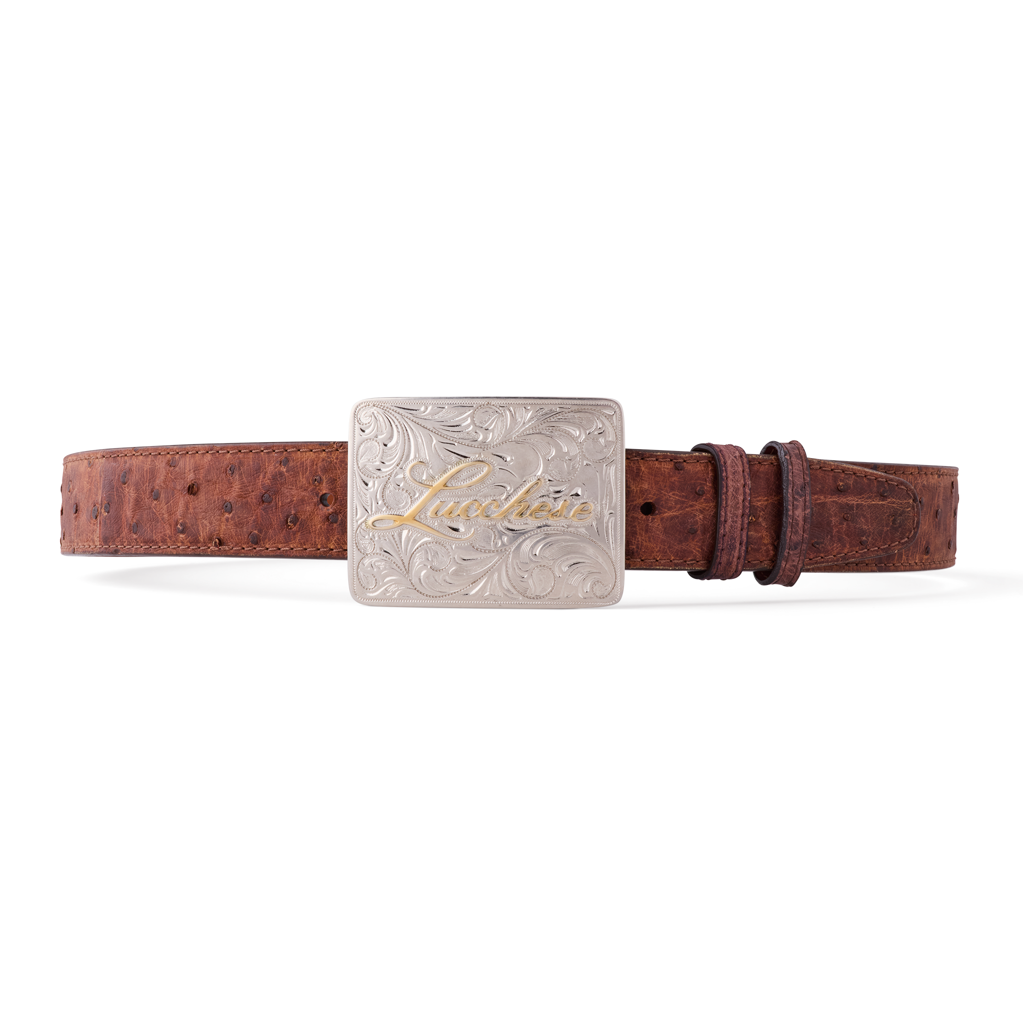 Pecan Full Quill Ostrich Memento Belt Tan for Sale