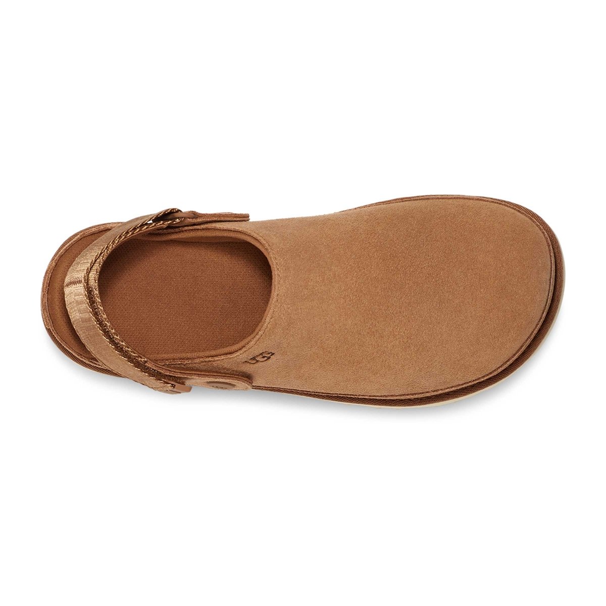 UGG Goldenstar Clog, Chestnut Suede - Women's